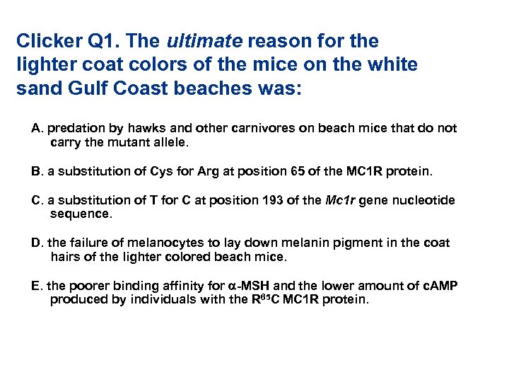 Clicker Q 1. The ultimate reason for the lighter coat colors of the mice