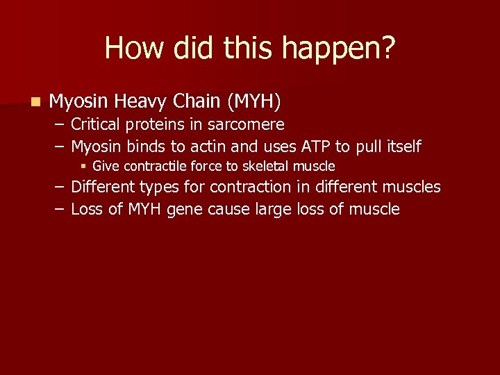 How did this happen? n Myosin Heavy Chain (MYH) – Critical proteins in sarcomere