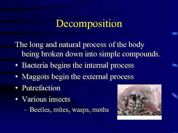 Decomposition The long and natural process of the body being broken down into simple
