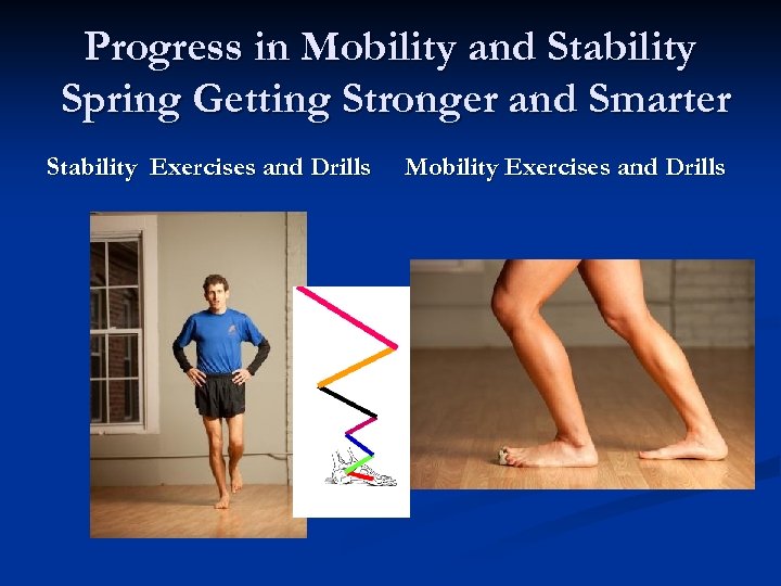 Progress in Mobility and Stability Spring Getting Stronger and Smarter Stability Exercises and Drills
