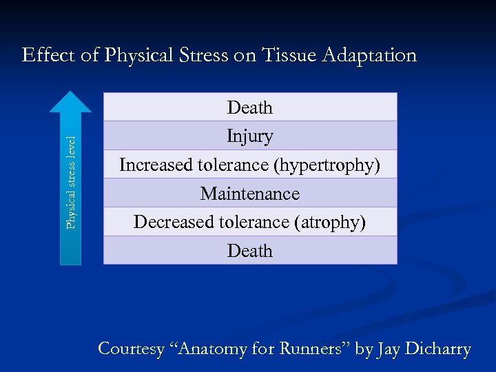 Physical stress level Effect of Physical Stress on Tissue Adaptation Death Injury Increased tolerance