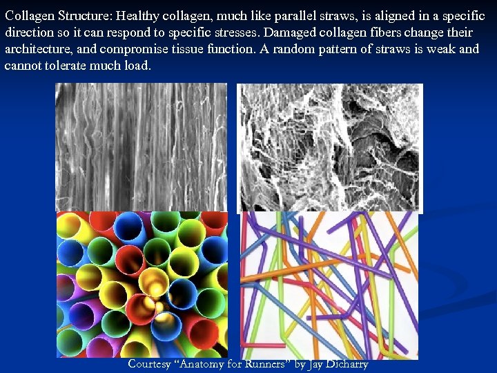 Collagen Structure: Healthy collagen, much like parallel straws, is aligned in a specific direction