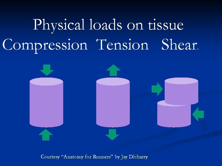 Physical loads on tissue Compression Tension Shear. Courtesy “Anatomy for Runners” by Jay Dicharry