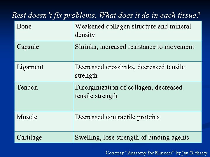 Rest doesn’t fix problems. What does it do in each tissue? Bone Weakened collagen