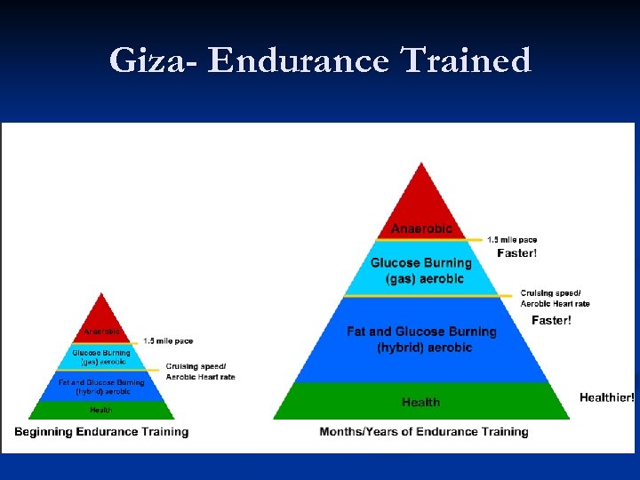 Giza- Endurance Trained 