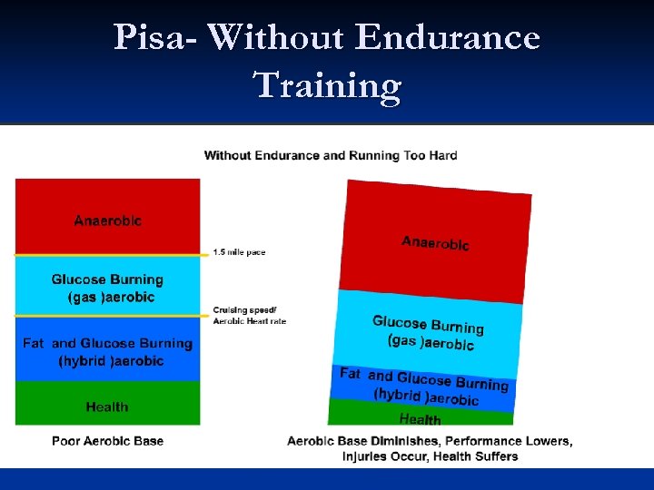 Pisa- Without Endurance Training 