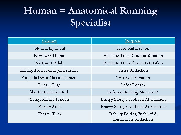 Human = Anatomical Running Specialist Feature Purpose Nuchal Ligament Head Stabilization Narrower Thorax Facilitate