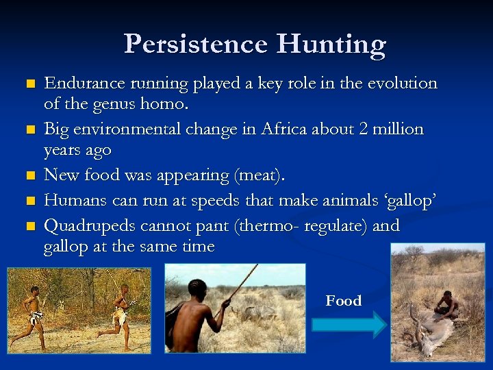 Persistence Hunting n n n Endurance running played a key role in the evolution