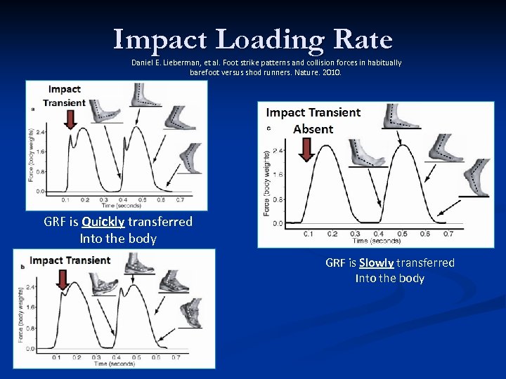 Impact Loading Rate Daniel E. Lieberman, et al. Foot strike patterns and collision forces