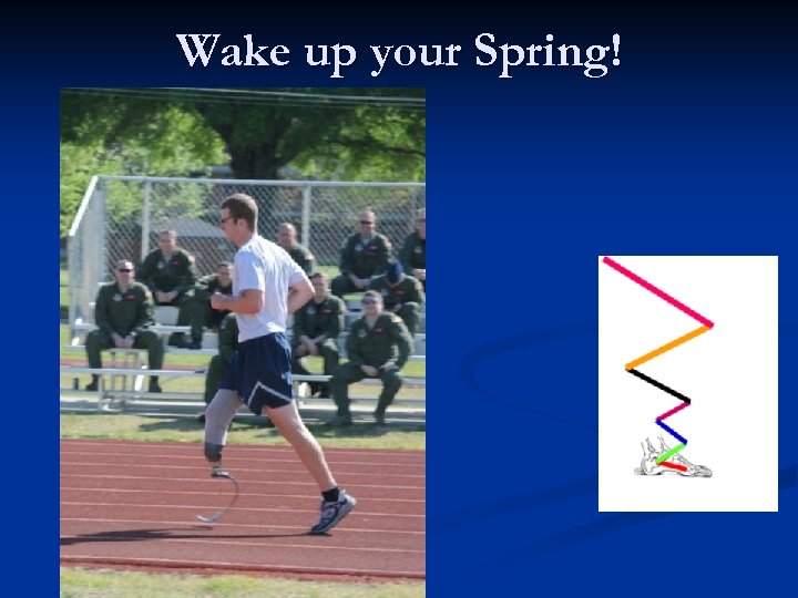 Wake up your Spring! 