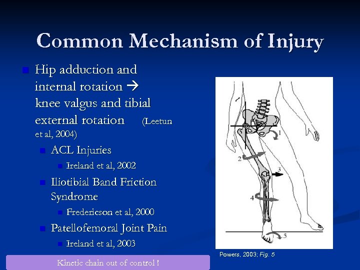 Common Mechanism of Injury n Hip adduction and internal rotation knee valgus and tibial