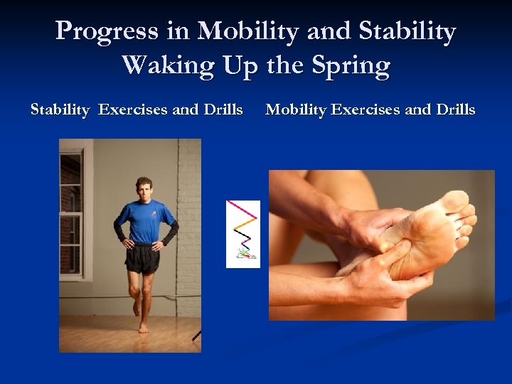 Progress in Mobility and Stability Waking Up the Spring Stability Exercises and Drills Mobility