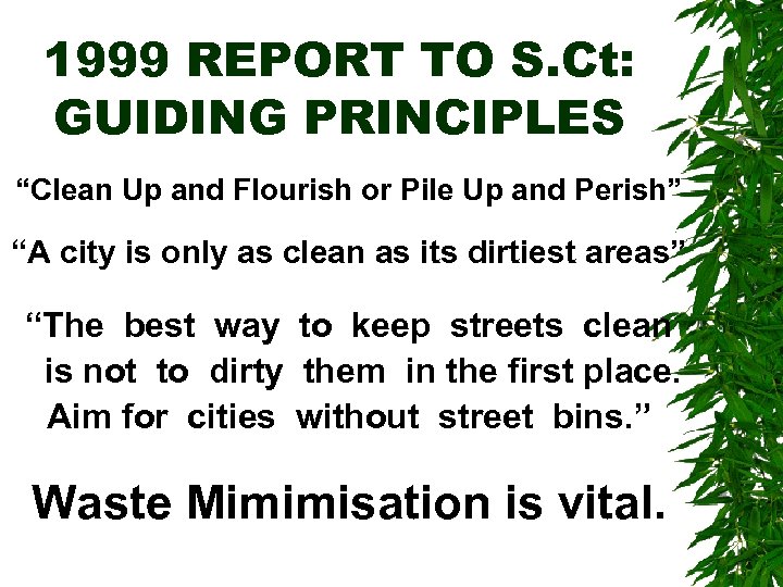 1999 REPORT TO S. Ct: GUIDING PRINCIPLES “Clean Up and Flourish or Pile Up