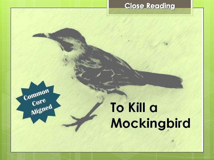 Close Reading To Kill a Mockingbird 