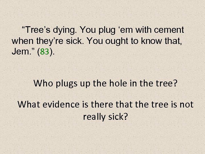 “Tree’s dying. You plug ‘em with cement when they’re sick. You ought to know