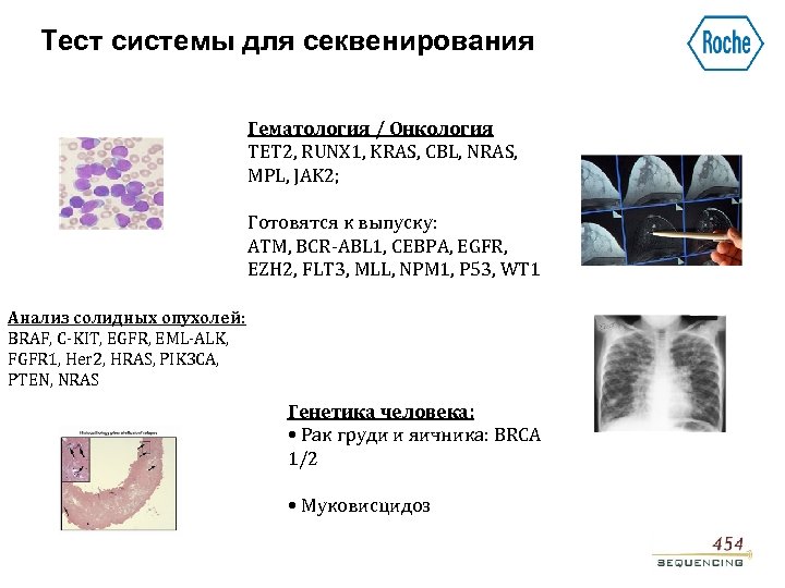 Тест системы для секвенирования Гематология / Онкология TET 2, RUNX 1, KRAS, CBL, NRAS,