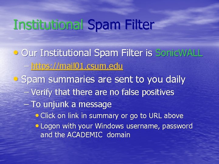 Institutional Spam Filter • Our Institutional Spam Filter is Sonic. WALL – https: //mail