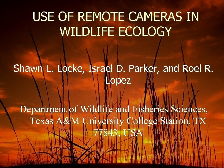 USE OF REMOTE CAMERAS IN WILDLIFE ECOLOGY Shawn L. Locke, Israel D. Parker, and