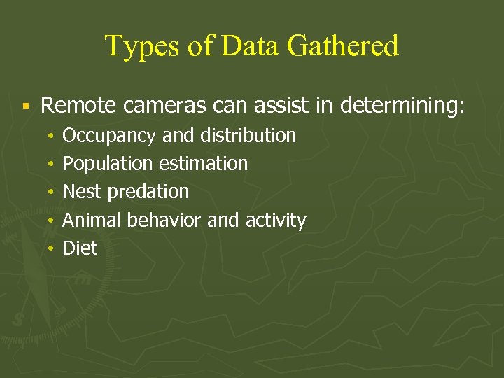 Types of Data Gathered § Remote cameras can assist in determining: • • •
