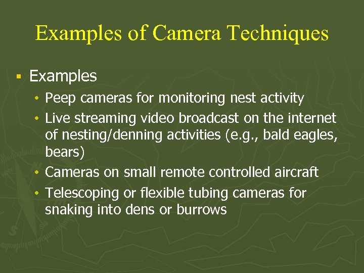 Examples of Camera Techniques § Examples • Peep cameras for monitoring nest activity •