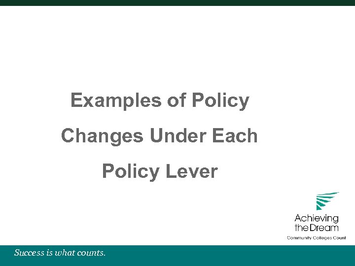 Examples of Policy Changes Under Each Policy Lever Success is what counts. 