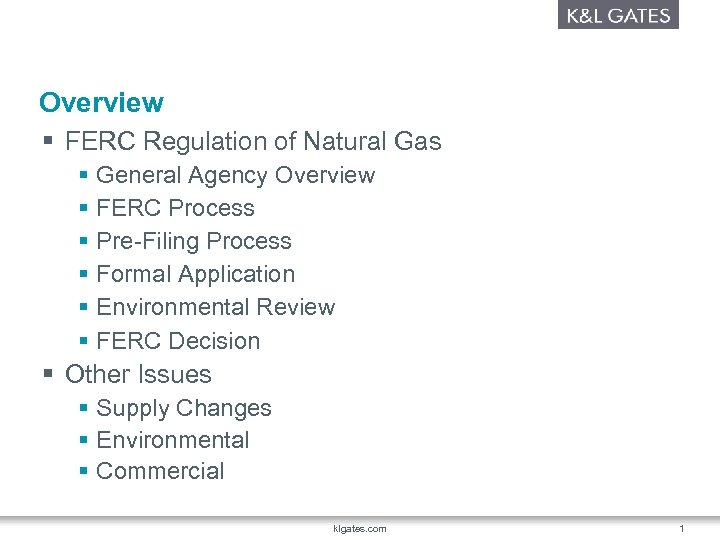 Overview § FERC Regulation of Natural Gas § General Agency Overview § FERC Process