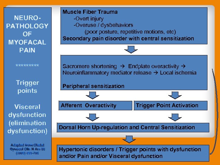 NEUROPATHOLOGY OF MYOFACAL PAIN ***** Trigger points Visceral dysfunction (elimination dysfunction) Adapted from: Obstet