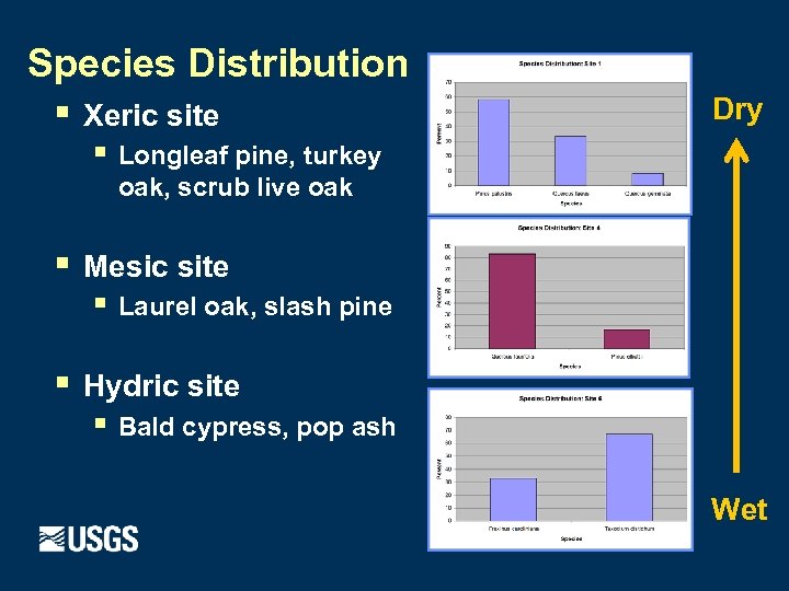 Species Distribution § Xeric site Dry § Longleaf pine, turkey oak, scrub live oak