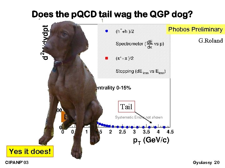 Does the p. QCD tail wag the QGP dog? Phobos Preliminary G. Roland Tail