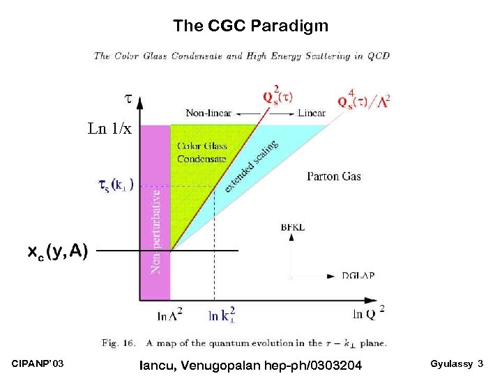 The CGC Paradigm Ln 1/x CIPANP’ 03 Iancu, Venugopalan hep-ph/0303204 Gyulassy 3 