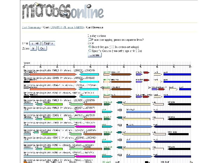 microbes browser 