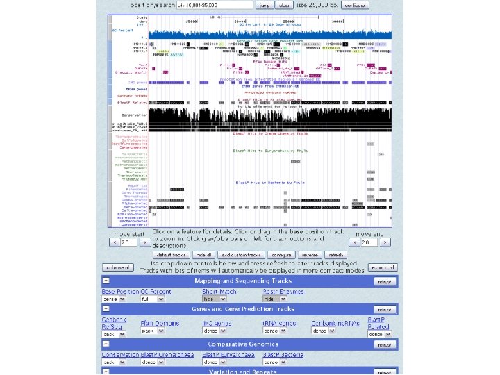 UCSC browser MC 58 