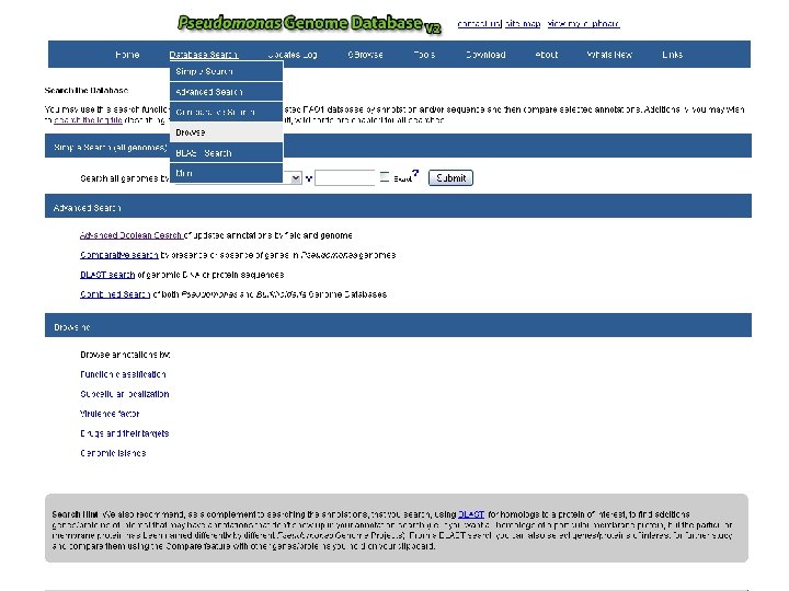 Psuedomonas aeruginosa - search 