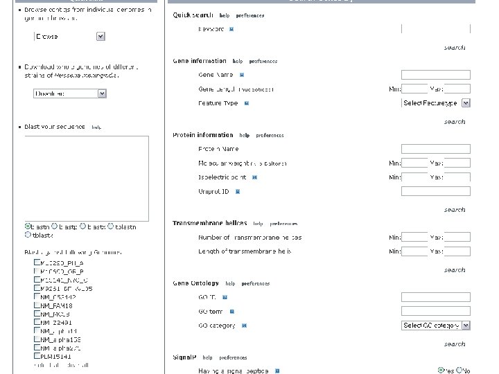 NBase 