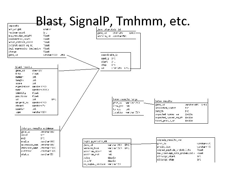 Blast, Signal. P, Tmhmm, etc. 