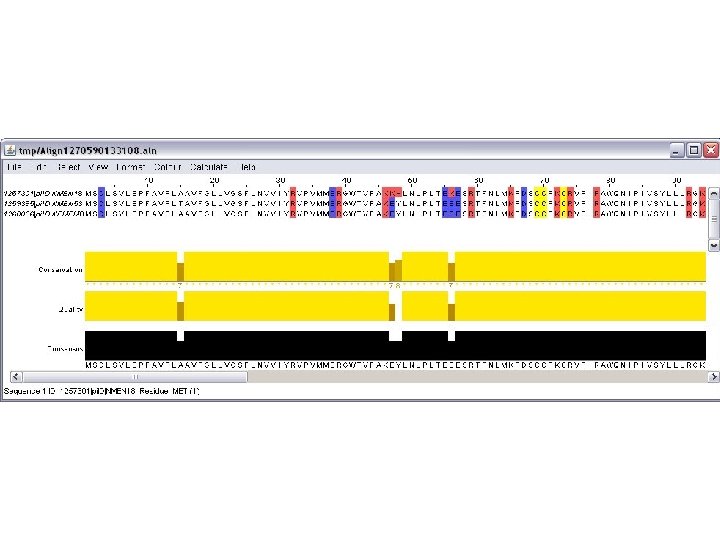 genolist jalview 