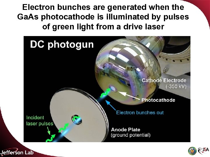 Electron bunches are generated when the Ga. As photocathode is illuminated by pulses of