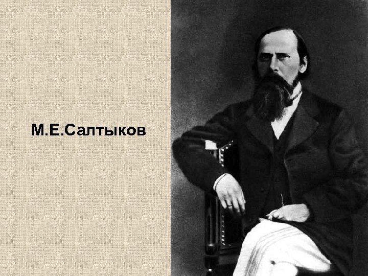М. Е. Салтыков 