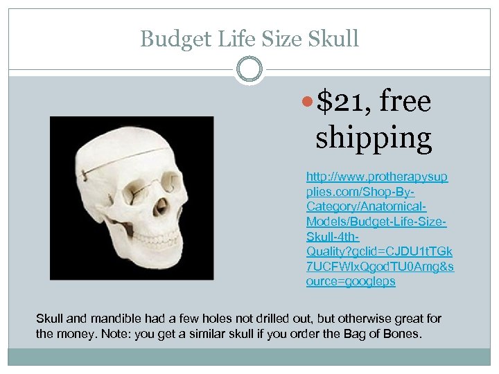 Budget Life Size Skull $21, free shipping http: //www. protherapysup plies. com/Shop-By. Category/Anatomical. Models/Budget-Life-Size.
