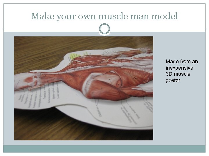 Make your own muscle man model Made from an inexpensive 3 D muscle poster