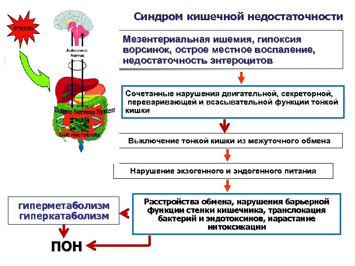 Синдром кишечной недостаточности Мезентериальная ишемия, гипоксия ворсинок, острое местное воспаление, недостаточность энтероцитов Сочетанные нарушения