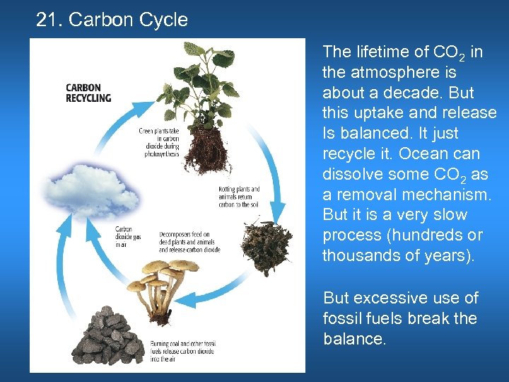 21. Carbon Cycle The lifetime of CO 2 in the atmosphere is about a