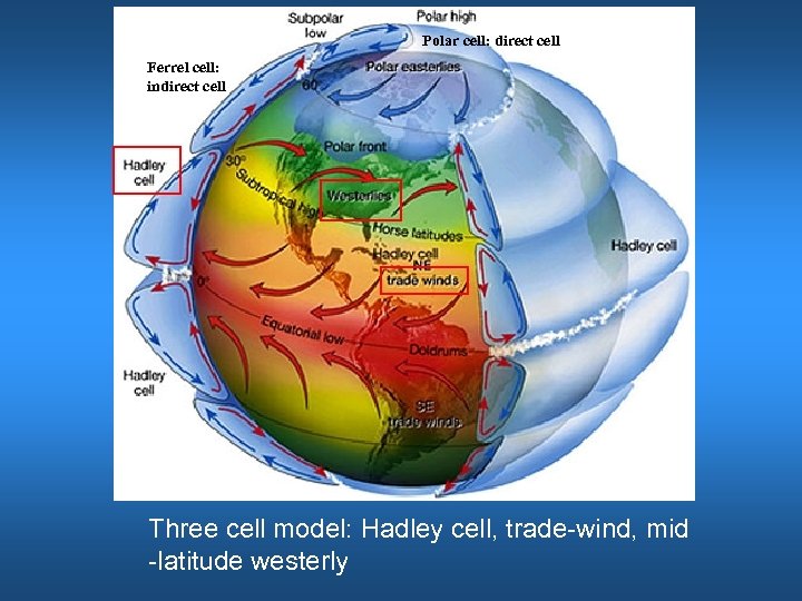 Polar cell: direct cell Ferrel cell: indirect cell Three cell model: Hadley cell, trade-wind,