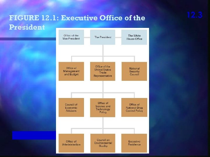 FIGURE 12. 1: Executive Office of the President 12. 3 