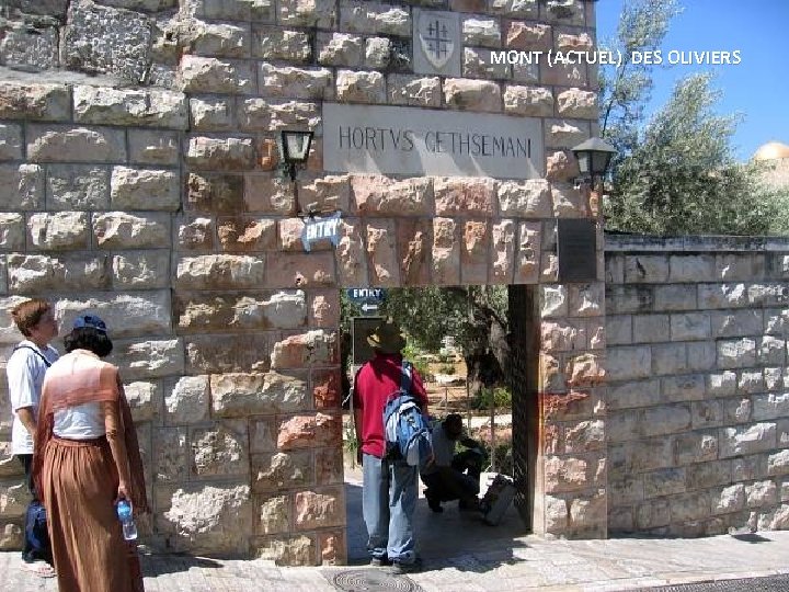 MONT (ACTUEL) DES OLIVIERS 