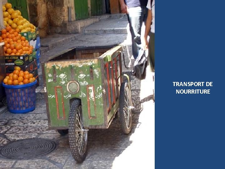 TRANSPORT DE NOURRITURE 