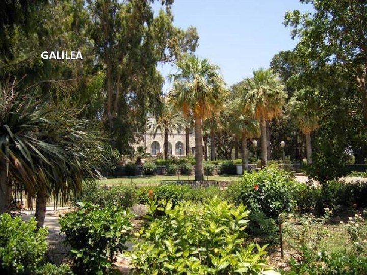 GALILEA Sunday, March 18, 2018 46 