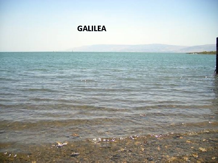 GALILEA Sunday, March 18, 2018 48 