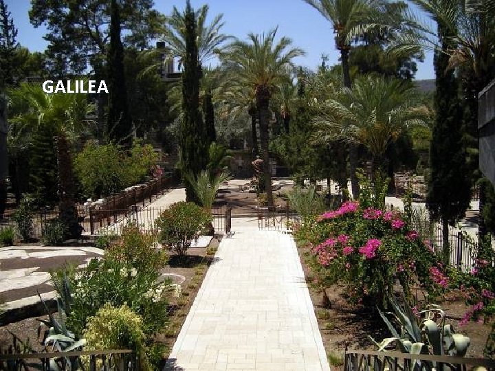 GALILEA Sunday, March 18, 2018 50 