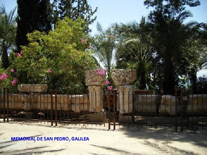 MEMORIAL DE SAN PEDRO, GALILEA Sunday, March 18, 2018 55 